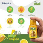⁦جنجر الليمون (Spectra Ginger Lemon)⁩ - الصورة ⁦5⁩