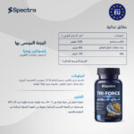 ⁦تراي-فورس (Spectra TRI-FORCE)⁩ - الصورة ⁦5⁩